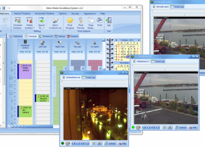 Download Zebra-Media Surveillance System for Windows PC free
